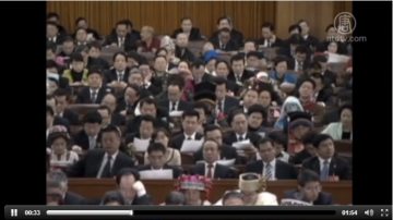 兩會代表 150人平均身家近百億