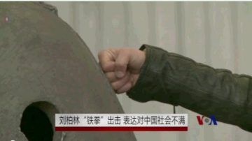 劉伯林「鐵拳」出擊 表達對中國社會不滿