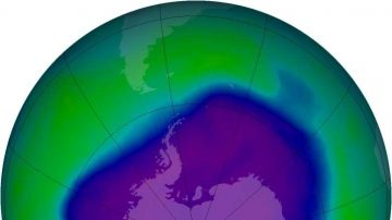 半個世紀 全球新生4種破壞臭氧氣體