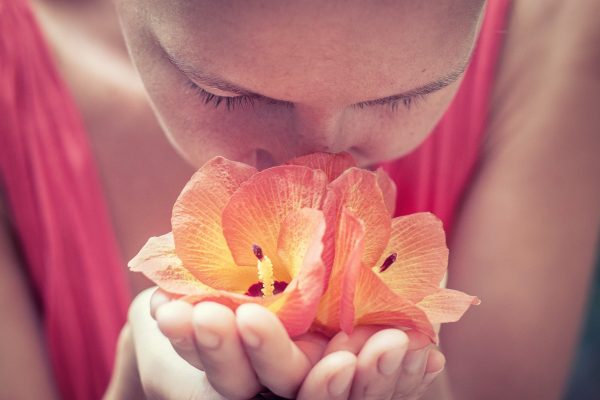 人類鼻子可識別多少種氣味 ?紐約大學醫研究出爐