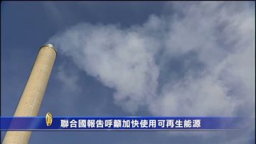 联合国报告呼吁加快使用可再生能源