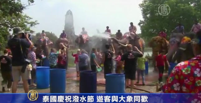 泰國慶祝潑水節 遊客與大象同歡
