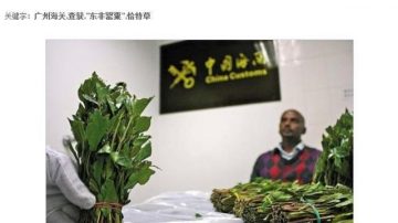 中国出现新毒品“阿拉伯茶”毒效惊人