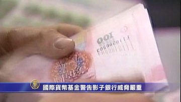 国际货币基金警告影子银行威胁严重