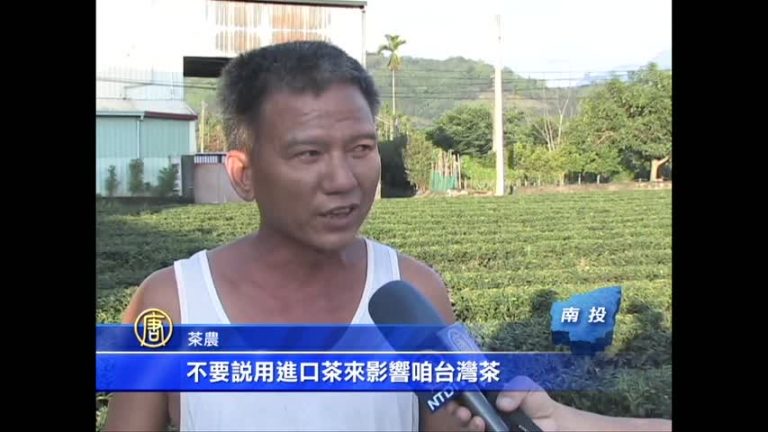 憂中國茶假MIT名 臺茶農反自經區