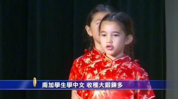 中文朗诵演讲比赛 收获大锻炼多