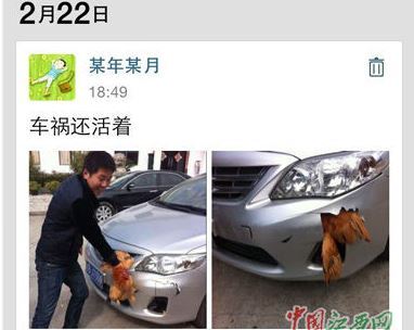 離奇車禍：雞車相撞 雞無恙 車撞出大洞