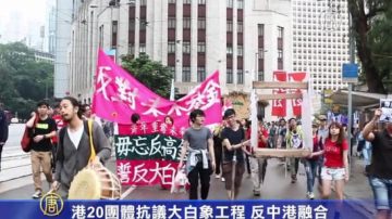 港20团体抗议大白象工程 反中港融合