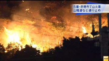 烤肉引發火燒70公頃山林 日男觸法就逮