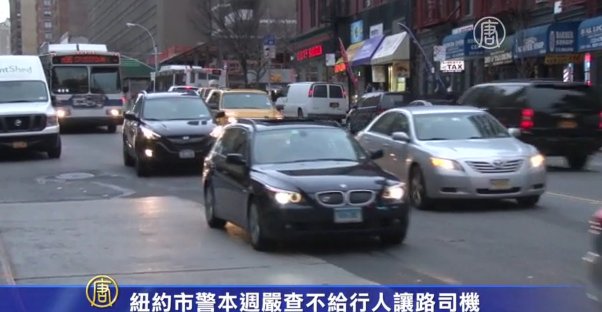 紐約市警本週嚴查不給行人讓路司機