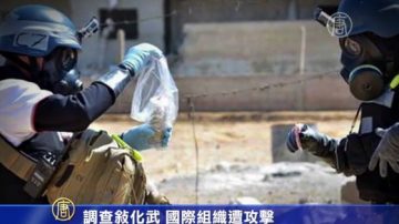 禁止化学武器组织在叙利亚遭到攻击