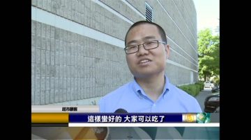 温哥华珍宝蟹跌价  饕客有口福