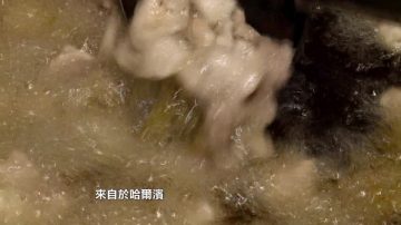 中國菜廚技大賽選手掠影—安洪利