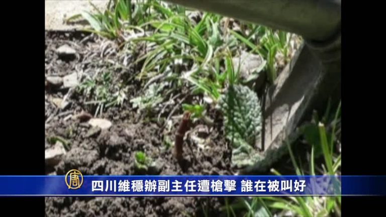 四川維穩辦副主任遭槍擊 誰在被叫好