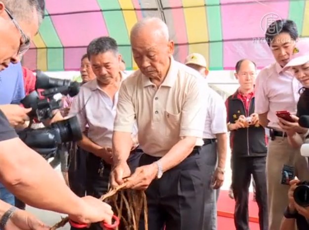 編麻繩喝麻芛湯 體驗台灣臺中古早味