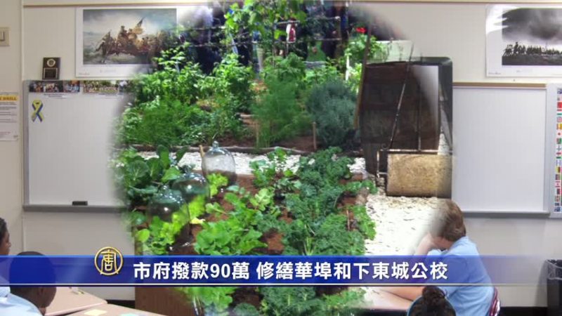 市府撥款90萬 修繕華埠和下東城公校