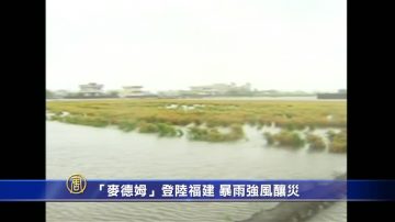 “麦德姆”登陆福建 暴雨强风酿灾