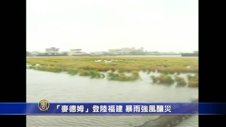「麥德姆」登陸福建 暴雨強風釀災