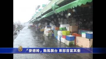 “麦德姆”台风袭台 东部首当其冲