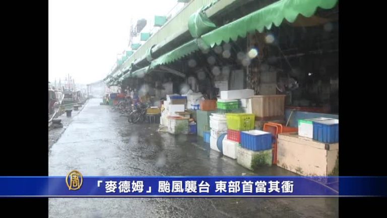 「麥德姆」颱風襲臺 東部首當其衝