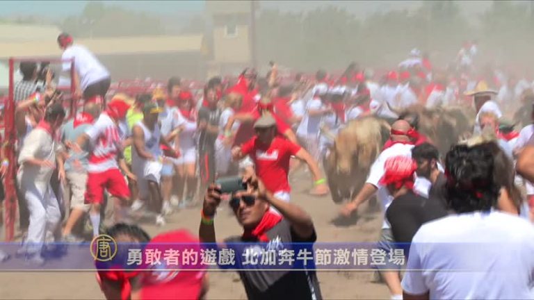勇敢者的遊戲 北加奔牛節激情登場