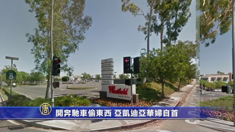開奔馳卻在商場行竊 華裔女子終自首