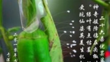 相隔1460天的两张照片 见证神奇预言