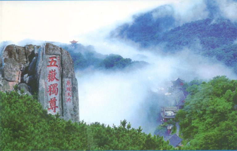 男子爬泰山掉懸崖 吃螞蟻活13天後獲救