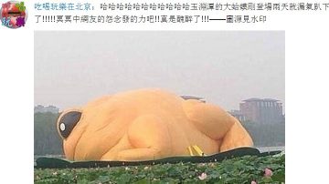 北京大蛤蟆“快没气了！”你懂的（组图）