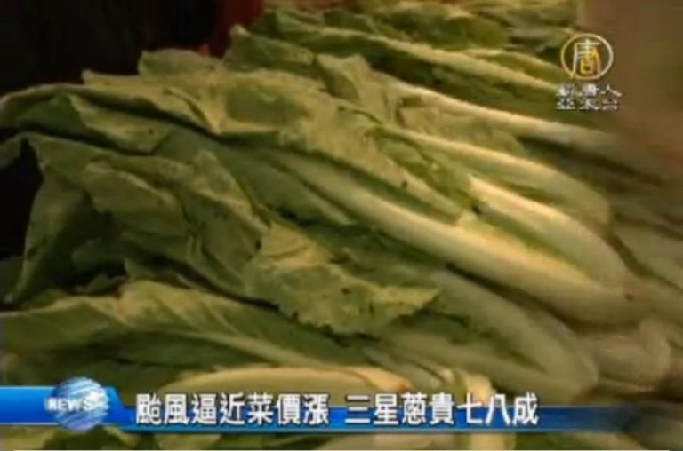 颱風逼近菜價漲 三星蔥貴七八成