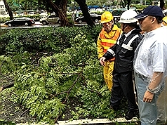 台风灾损 北市逾万户停电 部分公车停驶