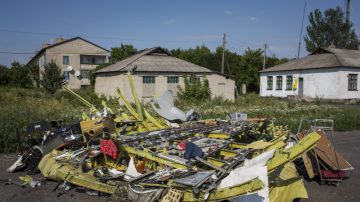 馬航墜機地再現大量屍塊 澳擬派兵護屍