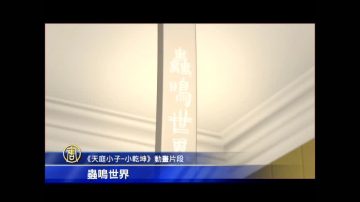 悠游字在 小干坤 入围圣地亚哥儿童影展