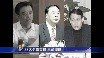 85名免职官员 三成复职