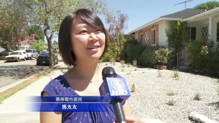 免費打造耐旱庭院 讓你省水省心