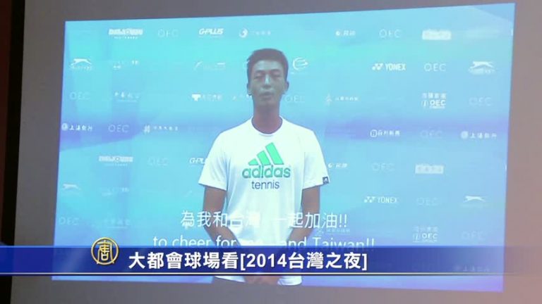 大都會球場看「2014台灣之夜」