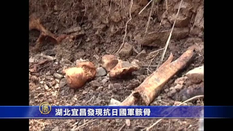 湖北宜昌發現抗日國軍骸骨