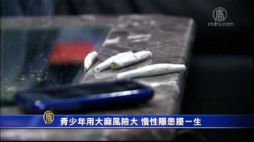 青少年用大麻風險大 慢性隱患擾一生