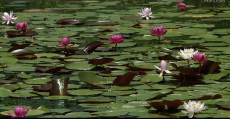【你好韓國】京畿道 抱川市之旅