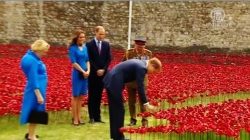 威廉凱特倫敦塔插花 悼一戰陣亡英軍