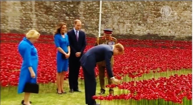 威廉凱特倫敦塔插花 悼一戰陣亡英軍