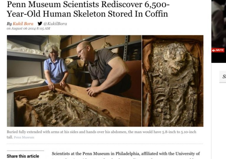 6500年前「諾亞」骸骨 驚現博物館地下室