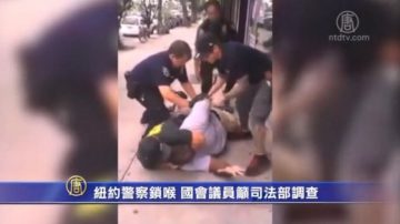 纽约警察锁喉案 国会议员要求司法部调查