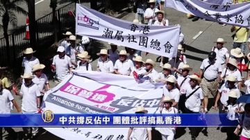 耗钜资伪造假民意  中共闹国际笑话