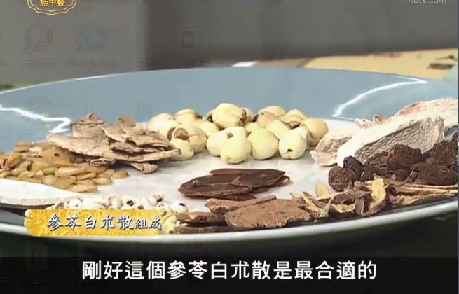 談古論今話中醫：認識參苓白朮散