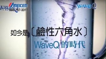 【廣告】Umeken元氣太素和WaveQ鹼性六角水