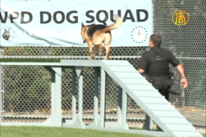 溫哥華警犬隊接受訓練設備捐贈