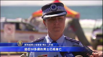 澳大利亚男子遭鲨鱼攻击身亡