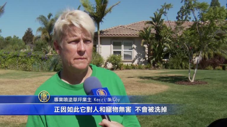 乾草換新顏 節水又美觀