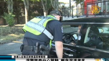 溫警路查分心駕駛  概念混淆者多